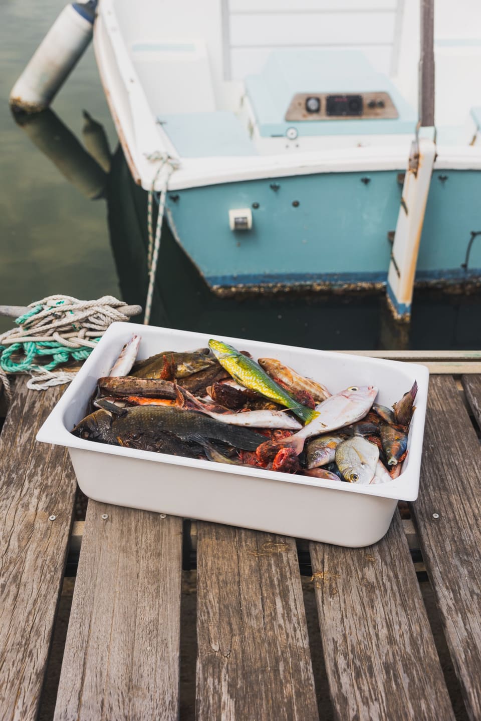 Le bac de la pêche du jour sur le ponton, devant la barque du pêcheur